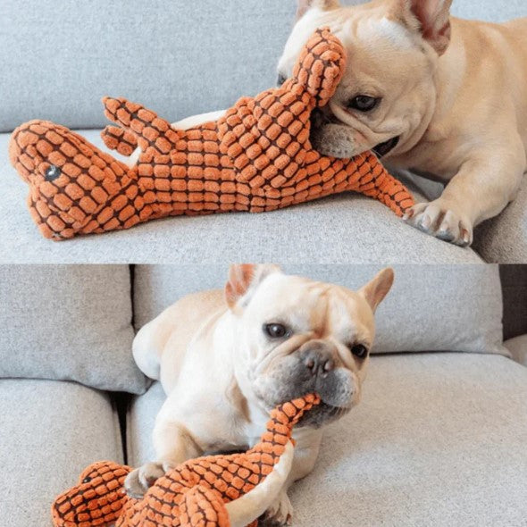 Indestructible Toy - Honden Speelgoed
