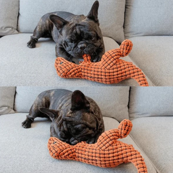 Indestructible Toy - Honden Speelgoed