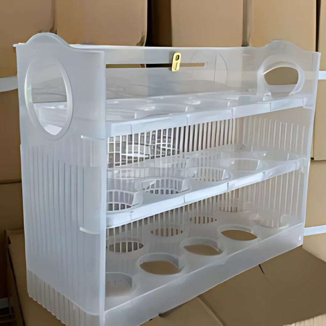 EggBox - Drie Lagen Self Rebound Eier Bewaardoos